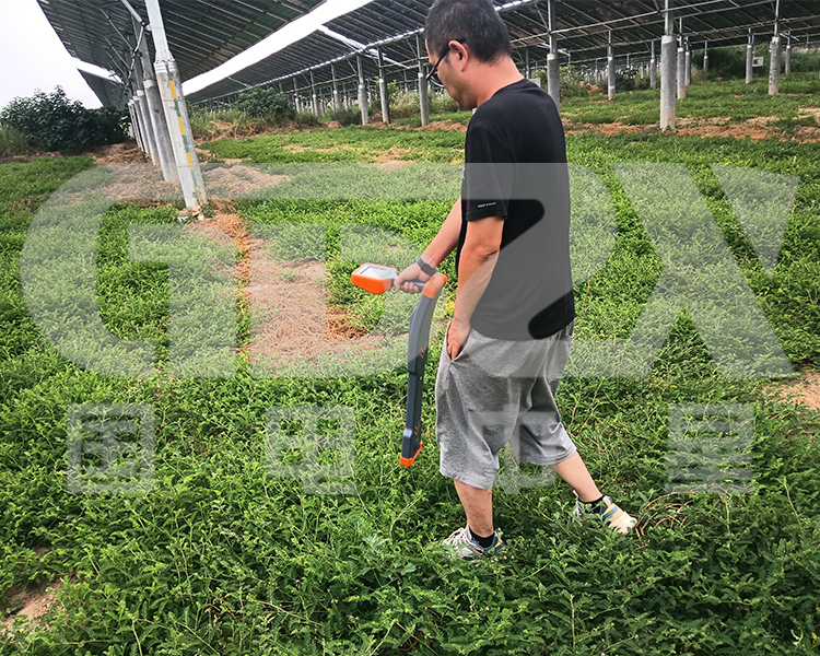 ZXPD3000地下管线探测仪 ZXPD3000地下管线探测仪